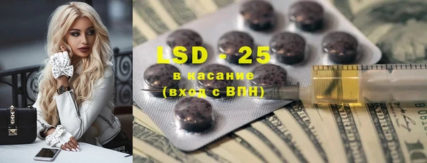 твердый Инсар