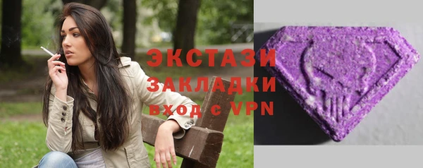 твердый Инсар