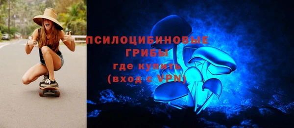винт Инта