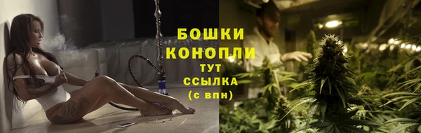 винт Инта