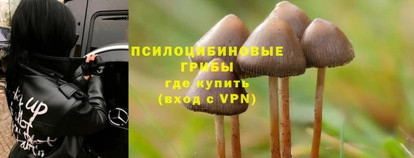 ГАЛЛЮЦИНОГЕННЫЕ ГРИБЫ Каменск-Шахтинский