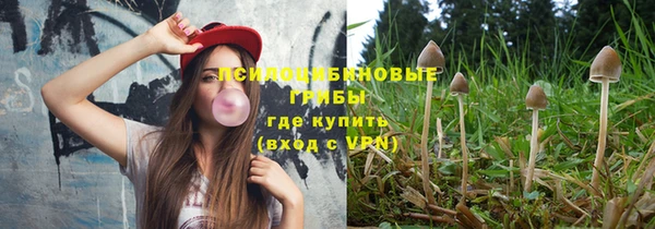 твердый Инсар