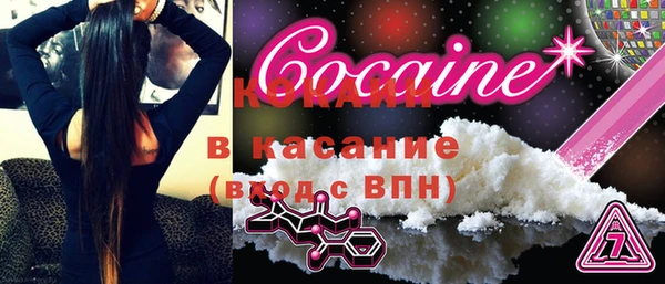 твердый Инсар