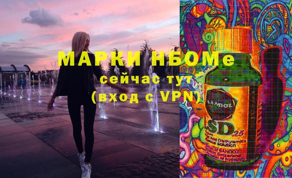 винт Инта