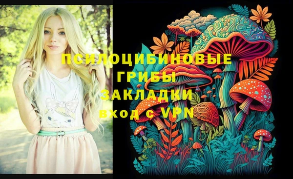 ГАЛЛЮЦИНОГЕННЫЕ ГРИБЫ Каменск-Шахтинский