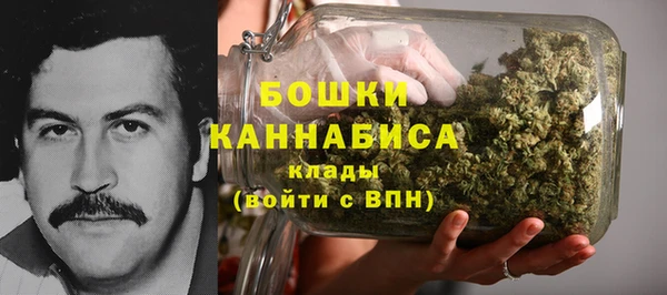 твердый Инсар
