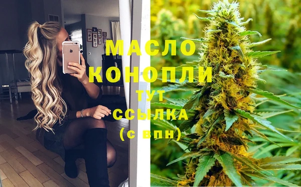 твердый Инсар