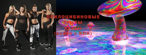 винт Инта