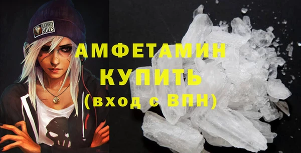 твердый Инсар