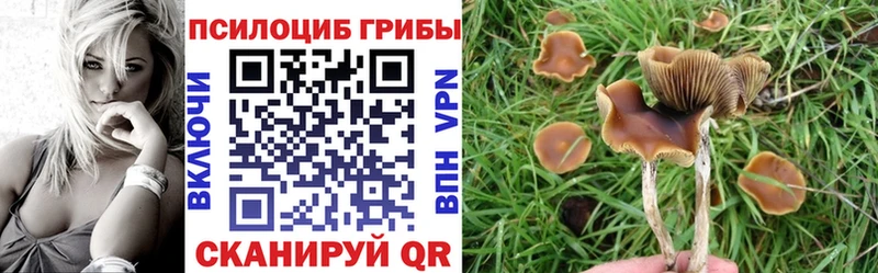 Псилоцибиновые грибы GOLDEN TEACHER  Купить  Петров Вал 